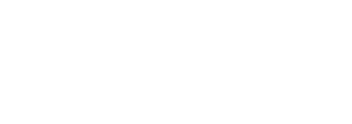 The Wire Logo