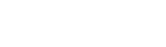 ANI Logo